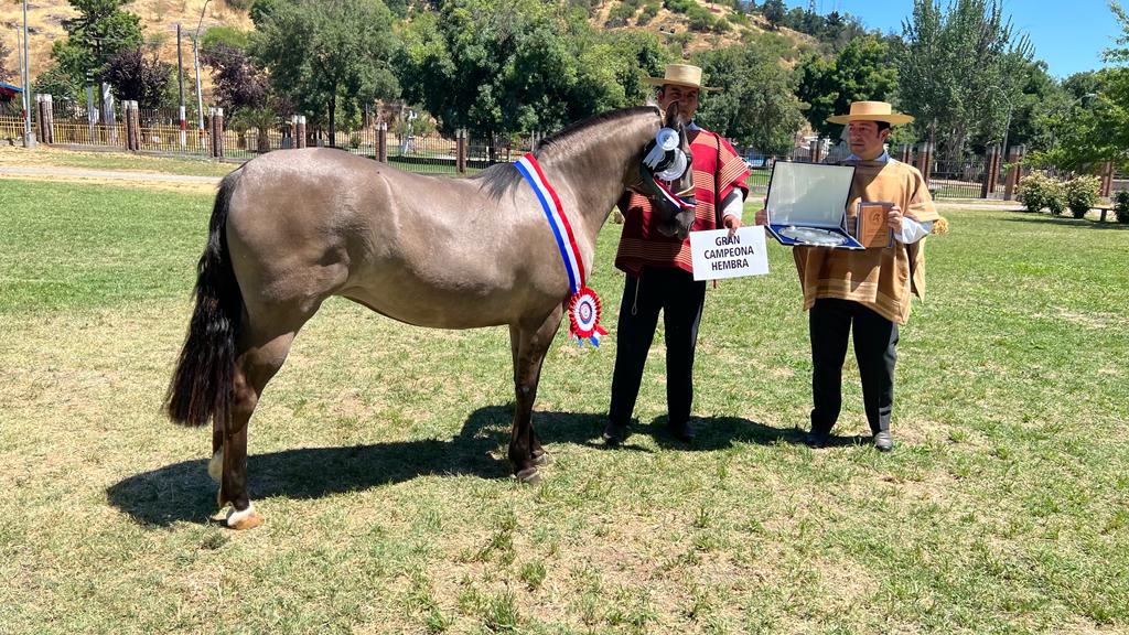 0263b7af 1752 4a77 8575 715eaa220cb1