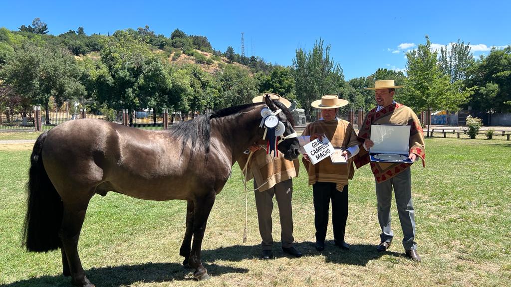 1b5815ae d70f 457d 86c1 3cd27b1d0a0b