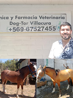 316312525 3056093198021630 5766617953562315302 nHOY