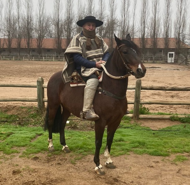 SIMFOROSO PINTO 2