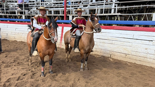 bafe3dc3 86d2 4af4 b4bf a1a287c498f9